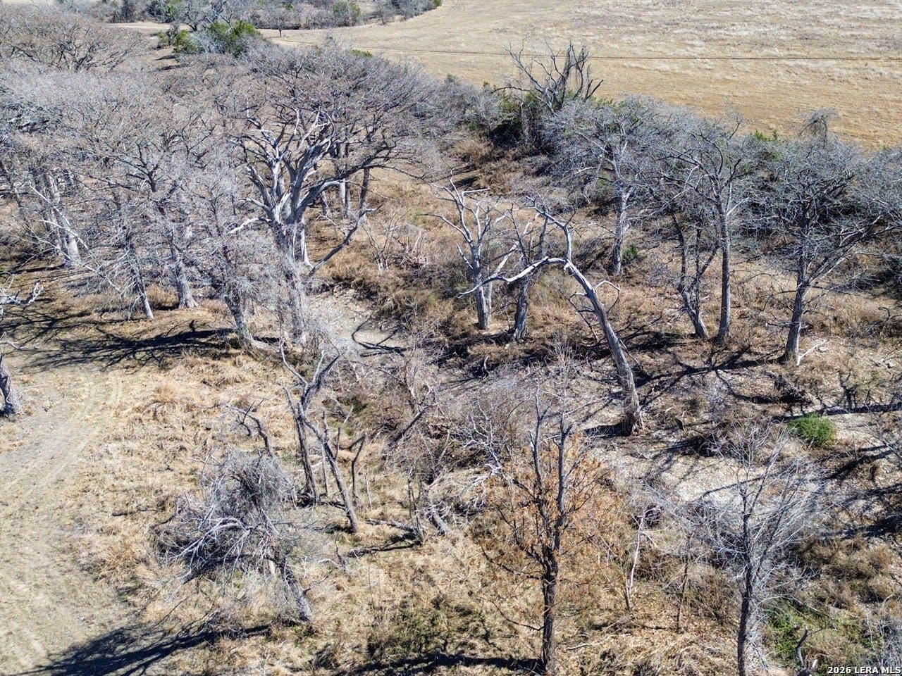63.66 acres in Blanco County - photo 23