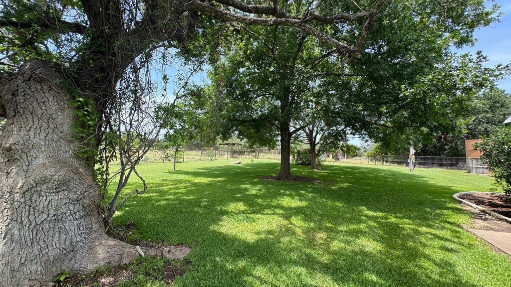 38 acres in Kerr County - photo 54