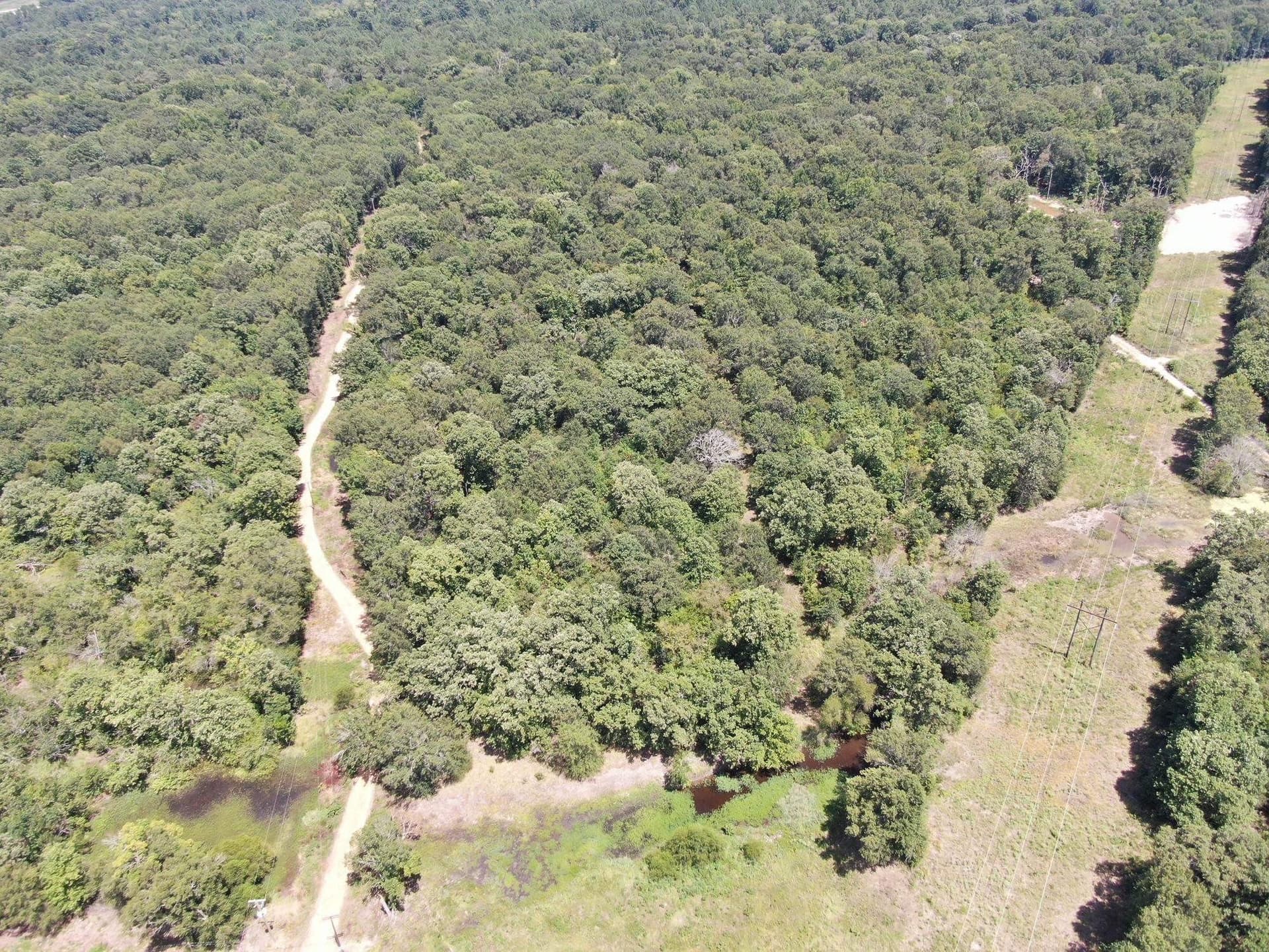 14.84 acres in Gregg County - photo 5