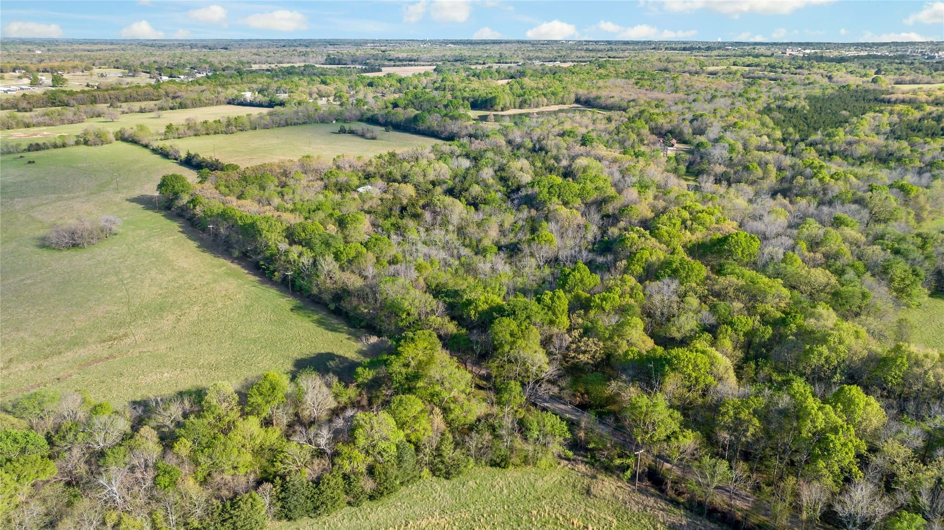 14.69 acres in Lamar County - photo 11