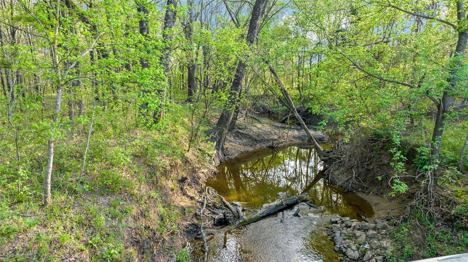 14.69 acres in Lamar County - photo 19