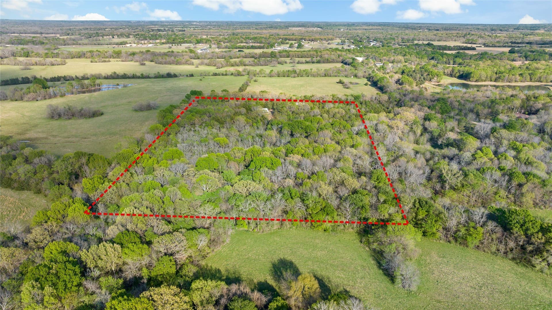 14.69 acres in Lamar County - photo 9
