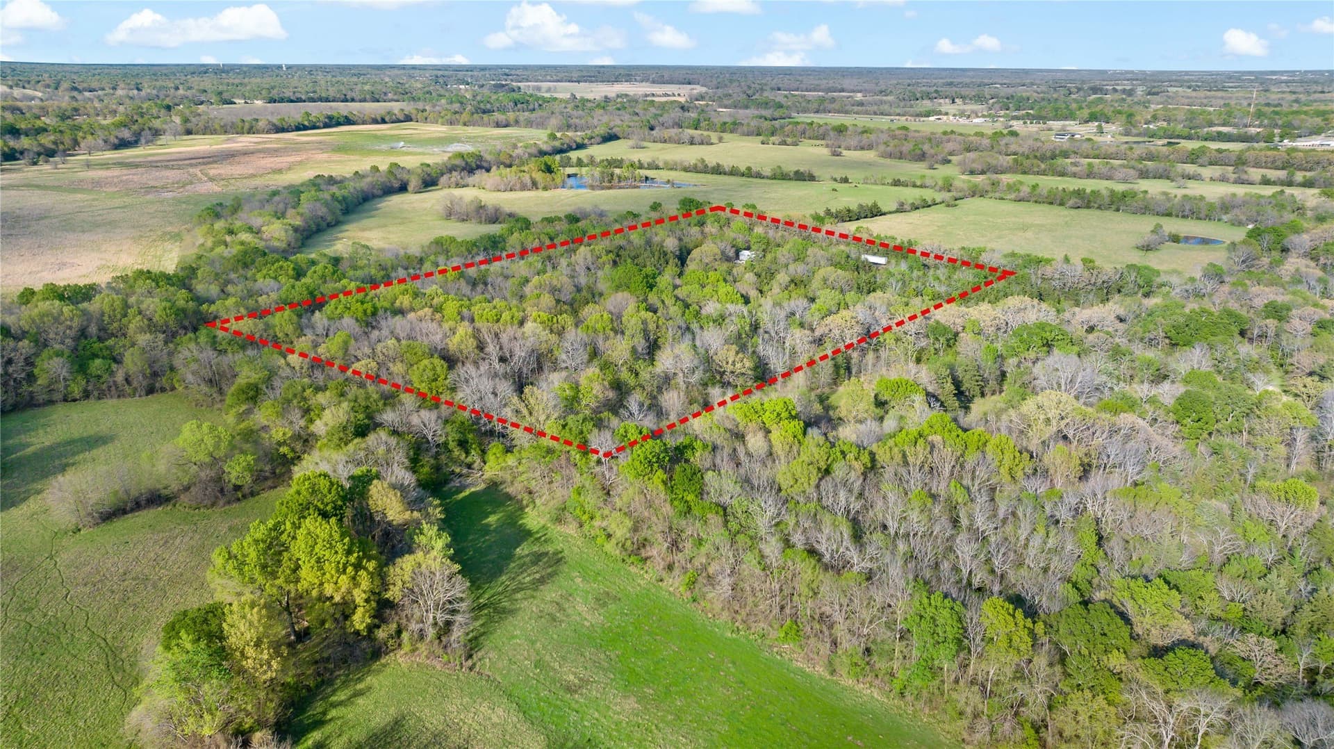 14.69 acres in Lamar County - photo 8