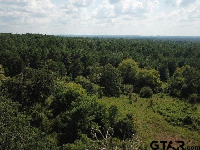 16.33 acres in Cherokee County - photo 8