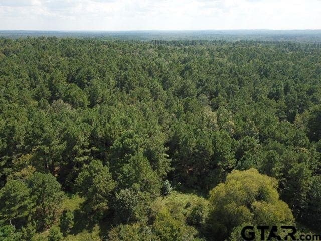 16.33 acres in Cherokee County - photo 7