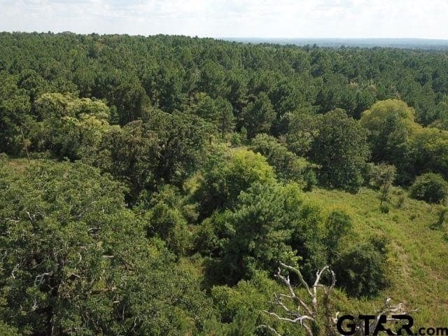 16.33 acres in Cherokee County gallery image 3