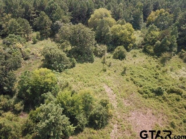 16.33 acres in Cherokee County - photo 6
