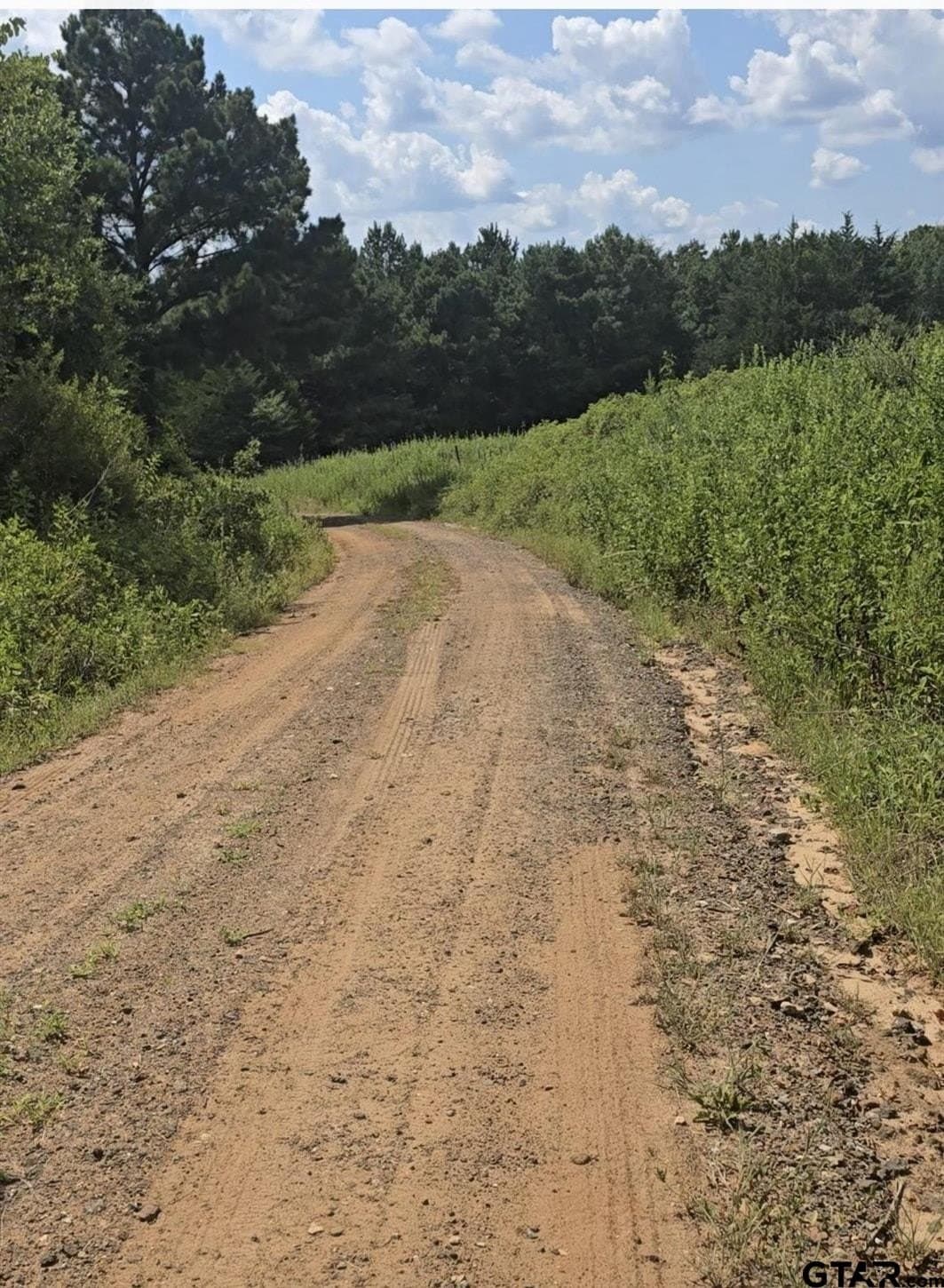 16.33 acres in Cherokee County - photo 9