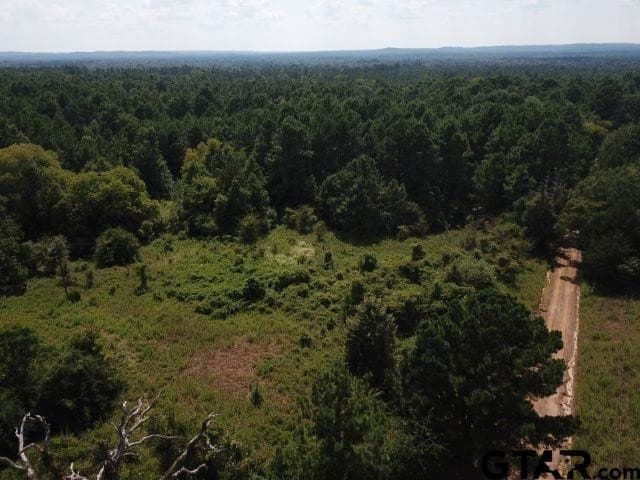 16.33 acres in Cherokee County gallery image 4