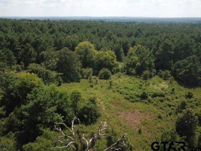 16.33 acres in Cherokee County gallery image 2