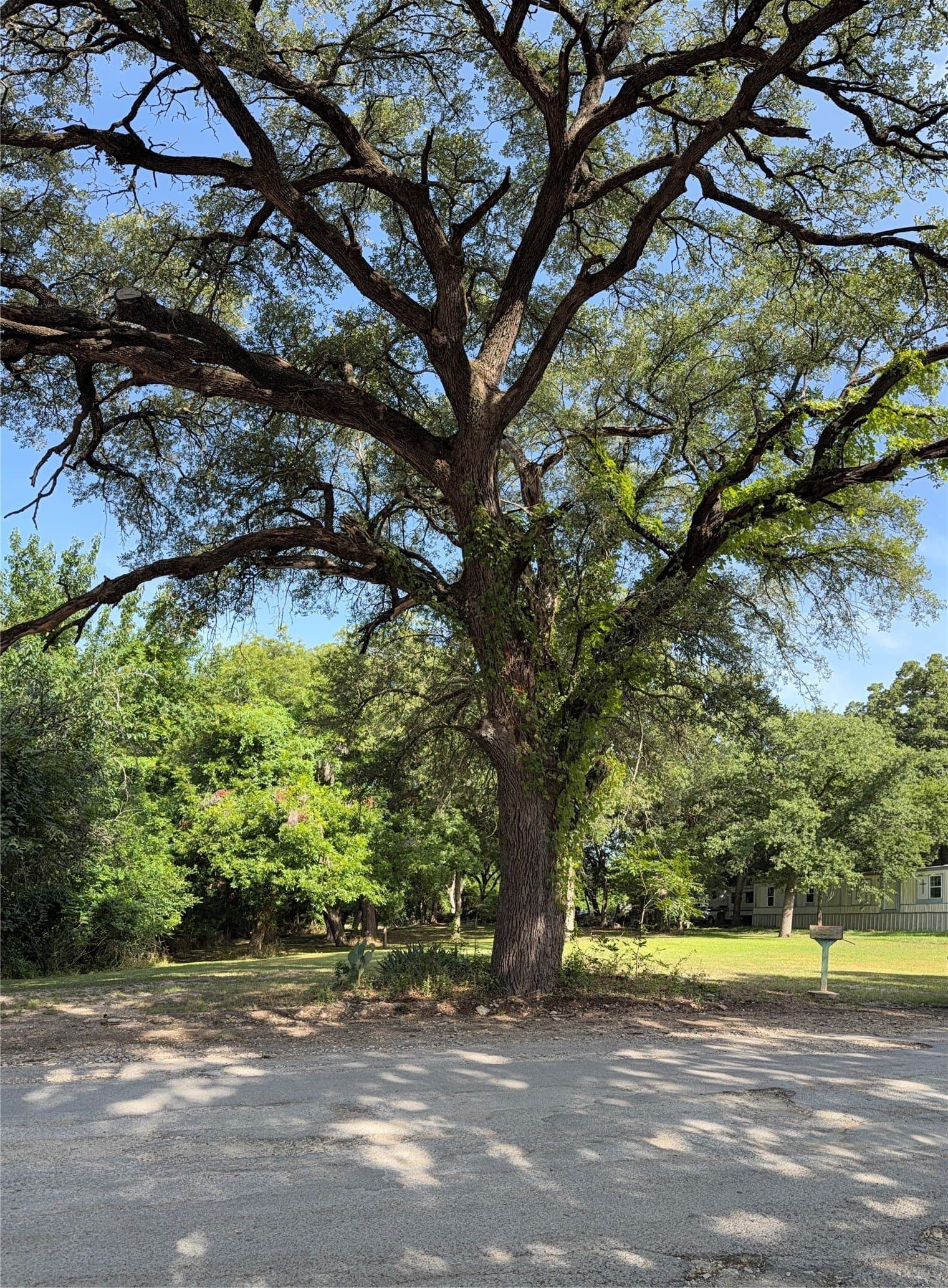 0.76 acres in Hamilton County - photo 11