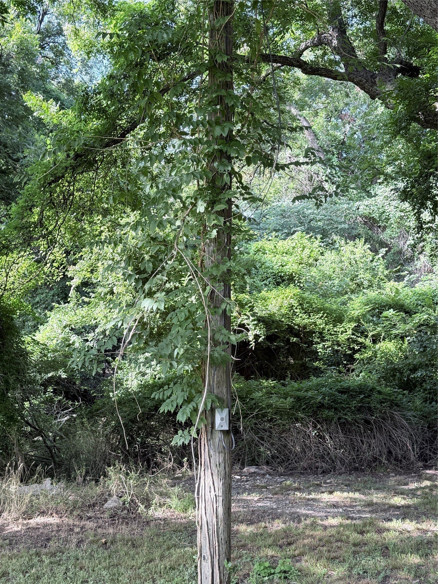 0.76 acres in Hamilton County - photo 7