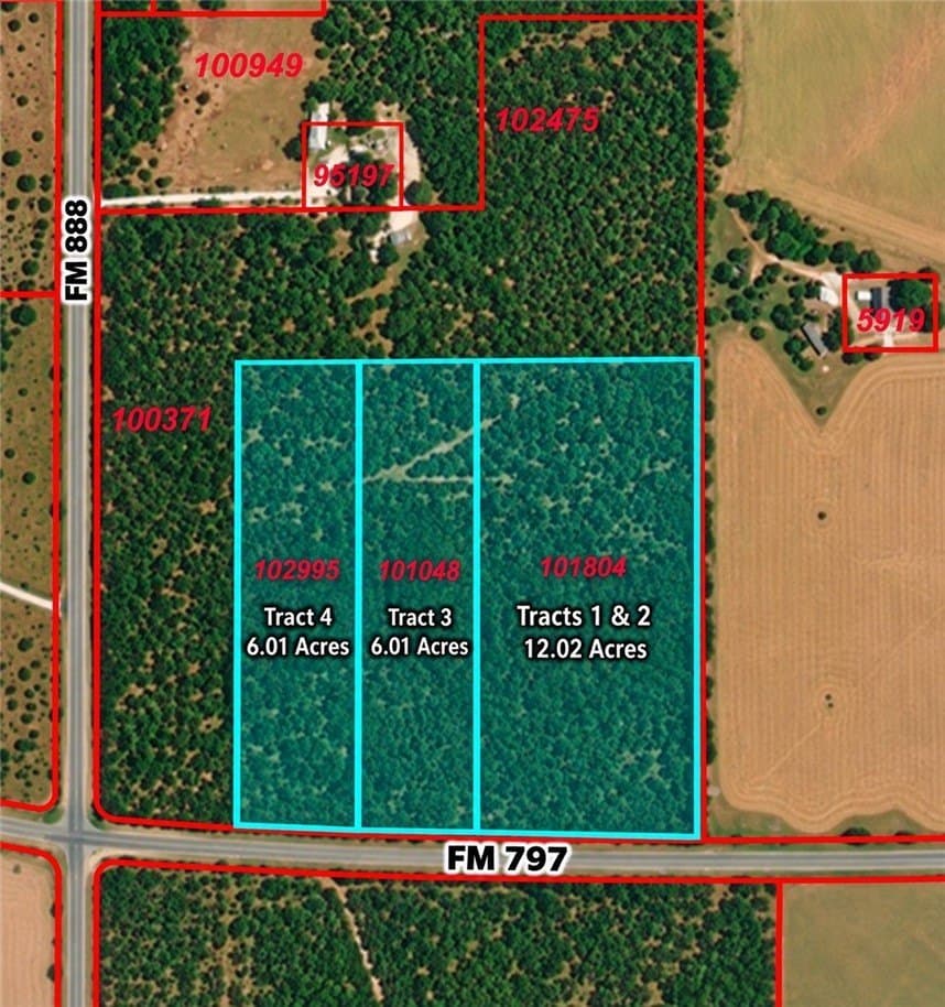 24.42 acres in Bee County - photo 2