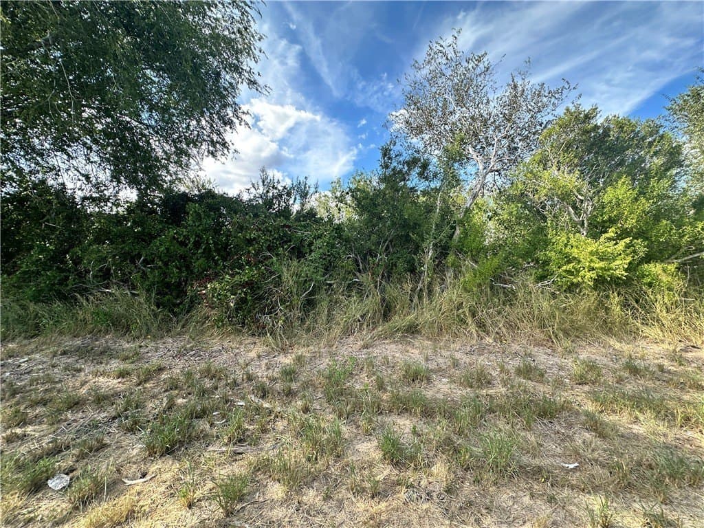 24.42 acres in Bee County