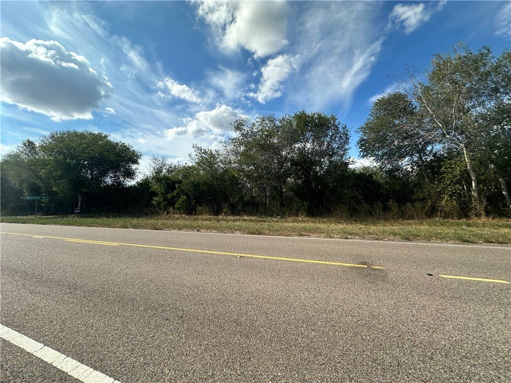 24.42 acres in Bee County - photo 6