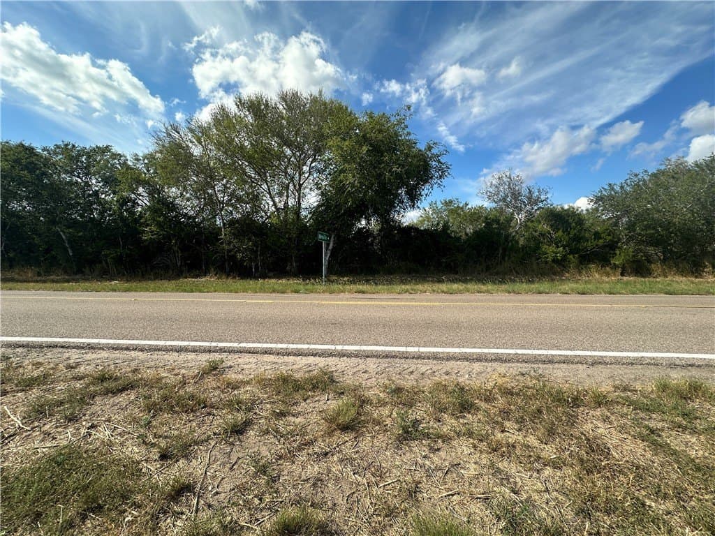 24.42 acres in Bee County - photo 4