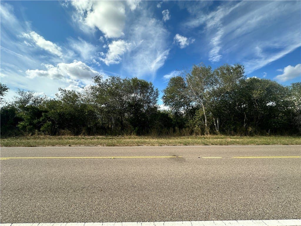 24.42 acres in Bee County - photo 3