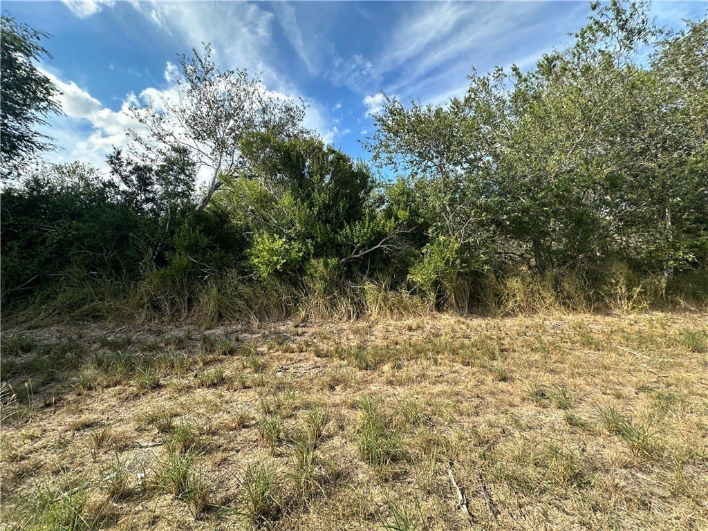 24.42 acres in Bee County - photo 5