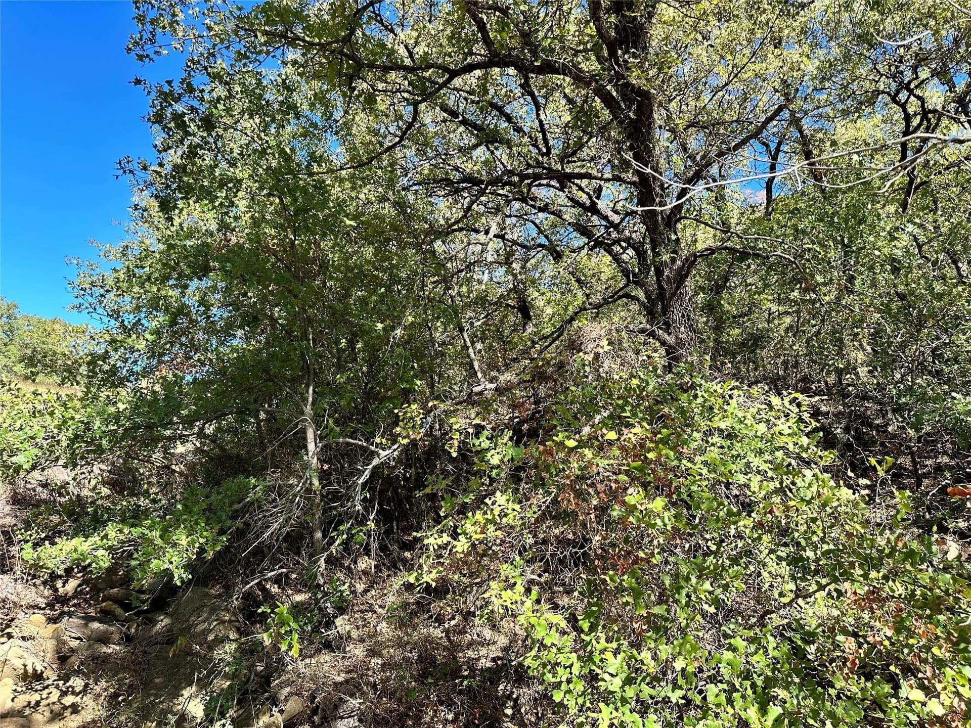 2.01 acres in Montague County - photo 14