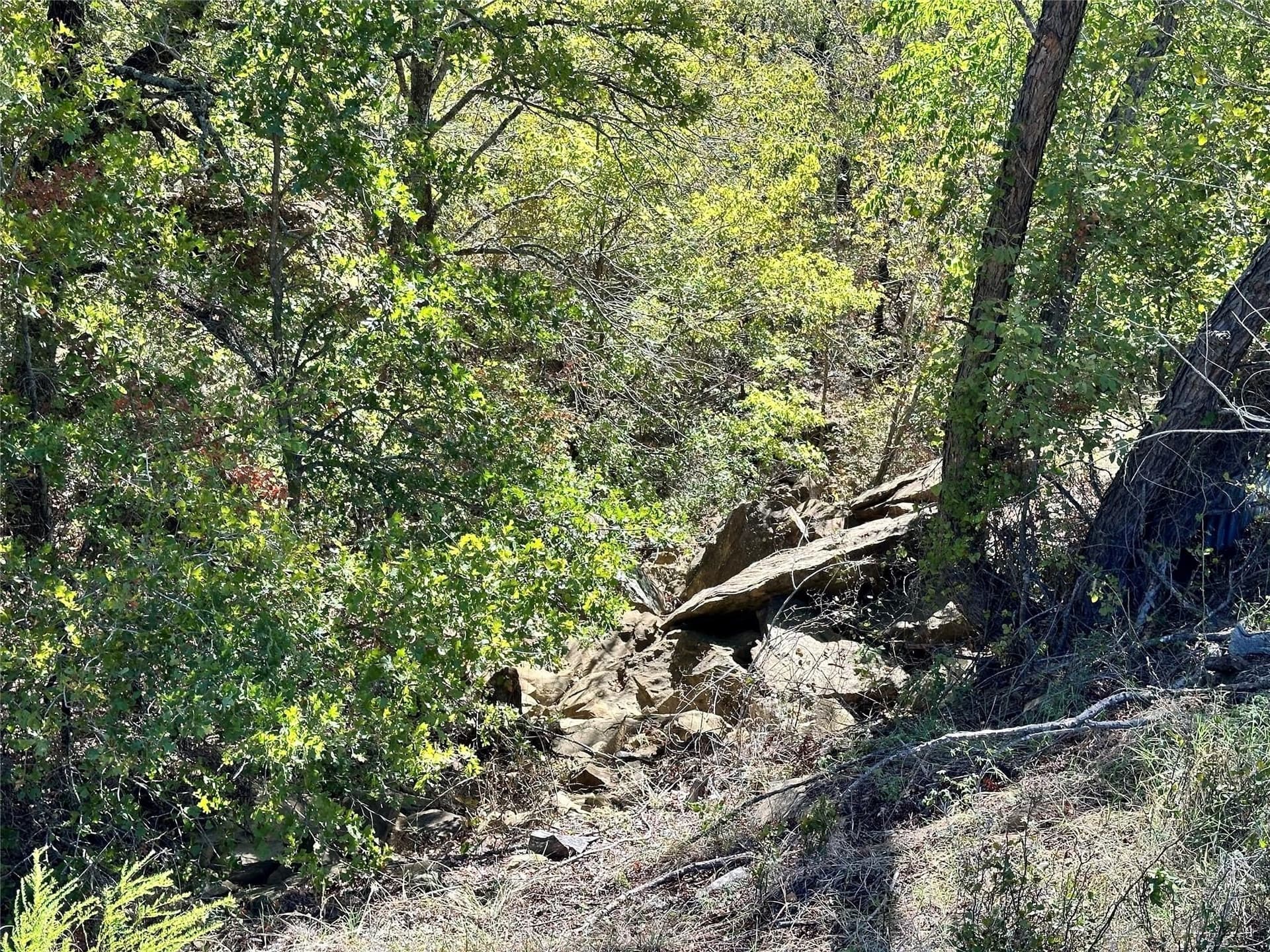 2.01 acres in Montague County - photo 21