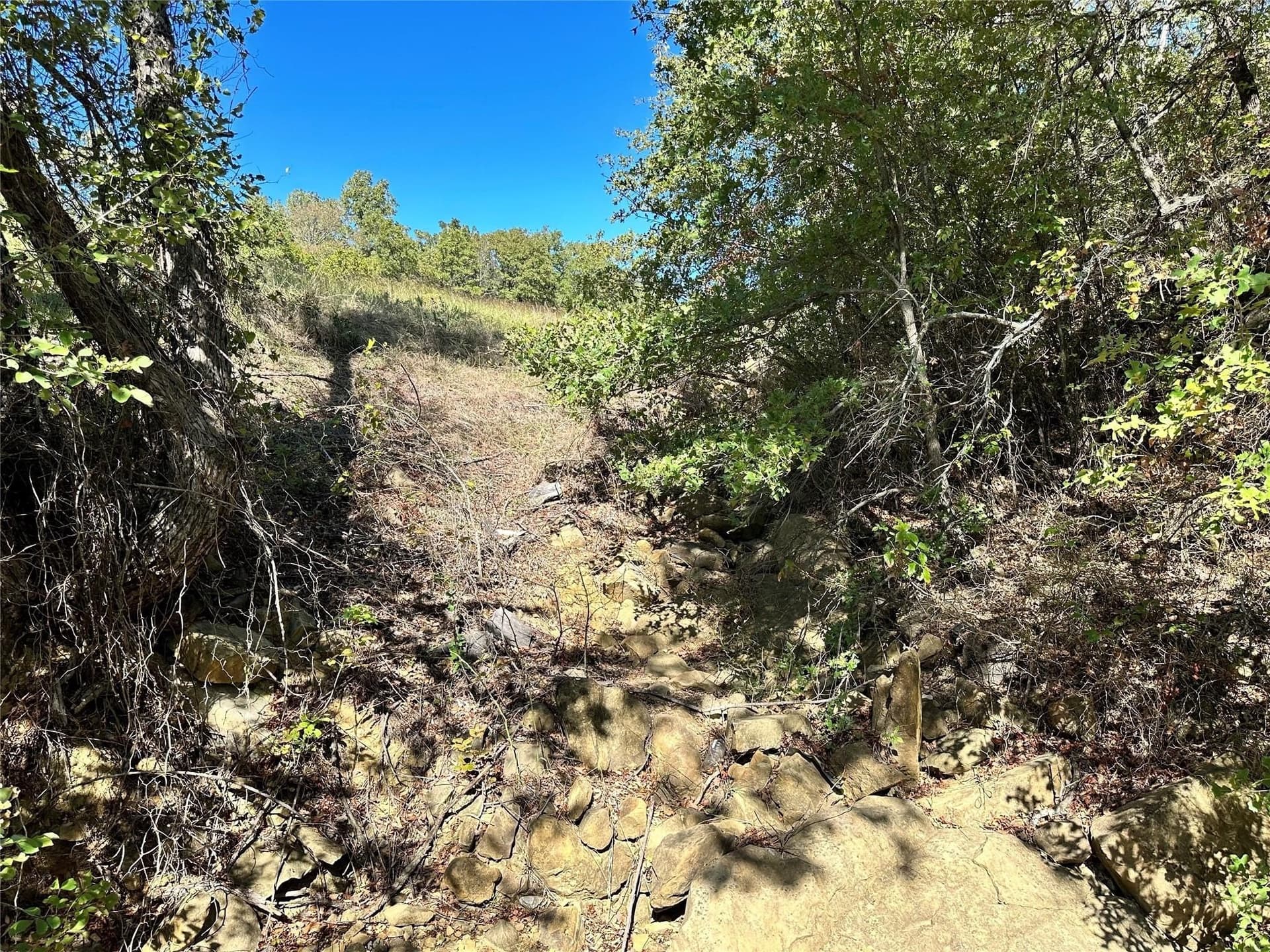 2.01 acres in Montague County - photo 9