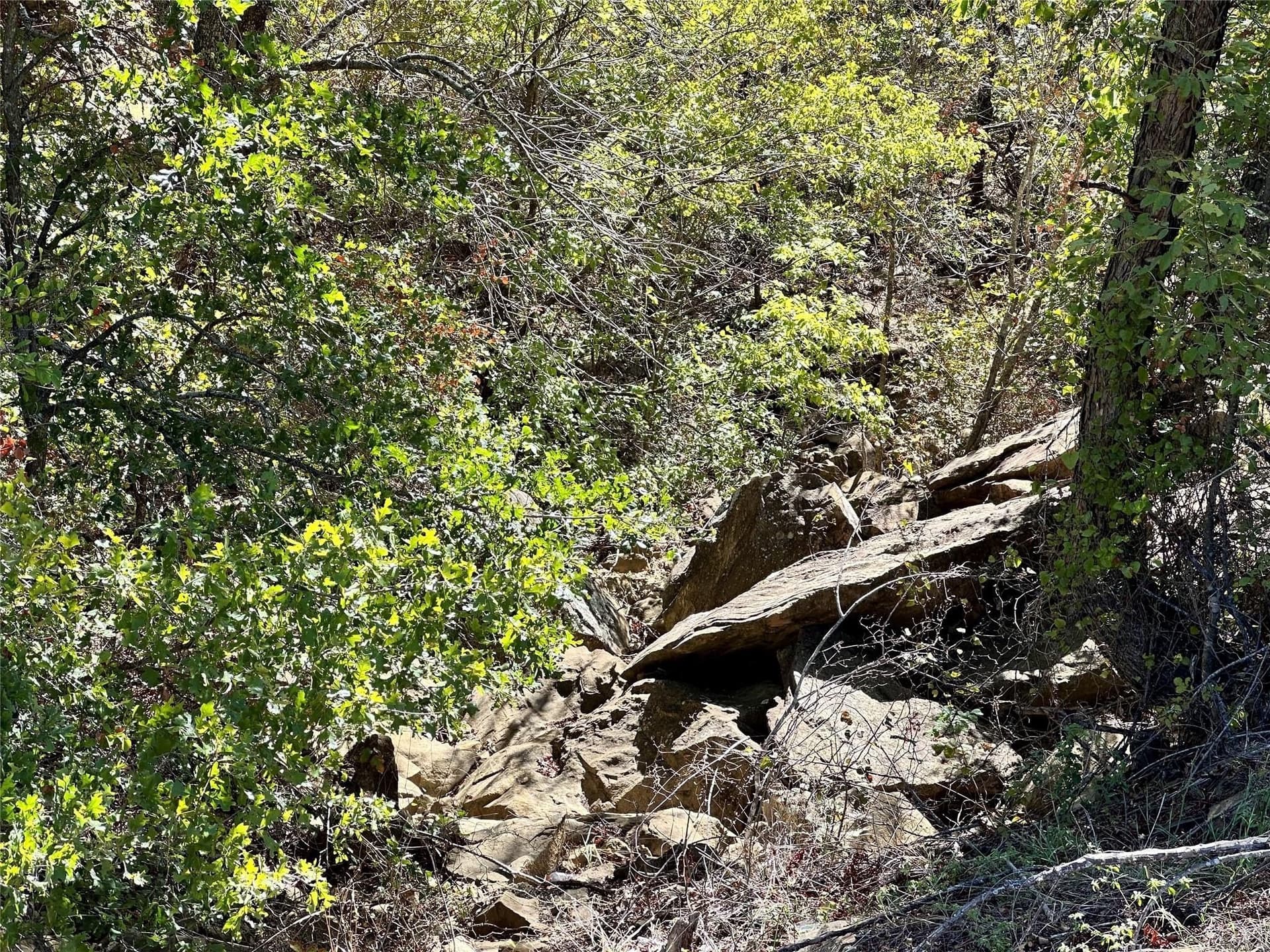 2.01 acres in Montague County - photo 20