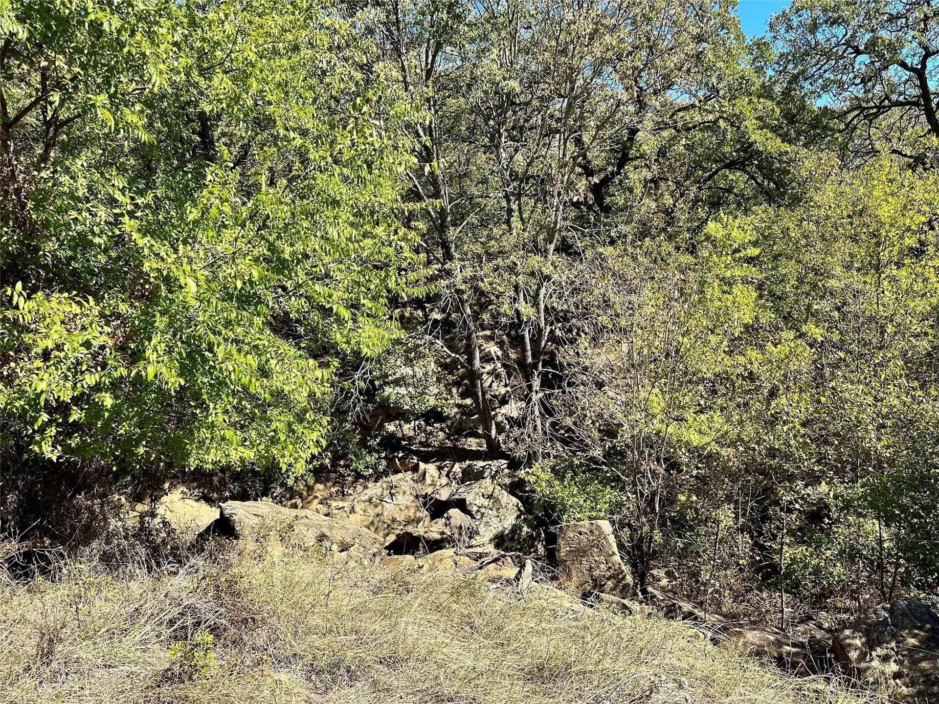2.01 acres in Montague County - photo 6