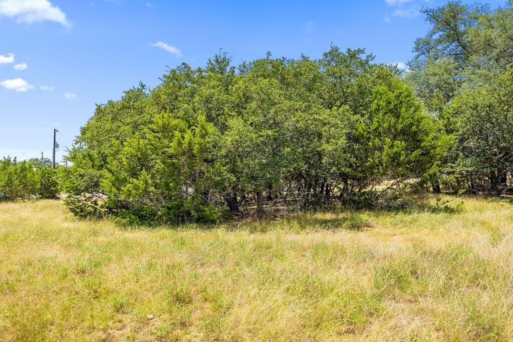 0.23 acres in Blanco County - photo 13