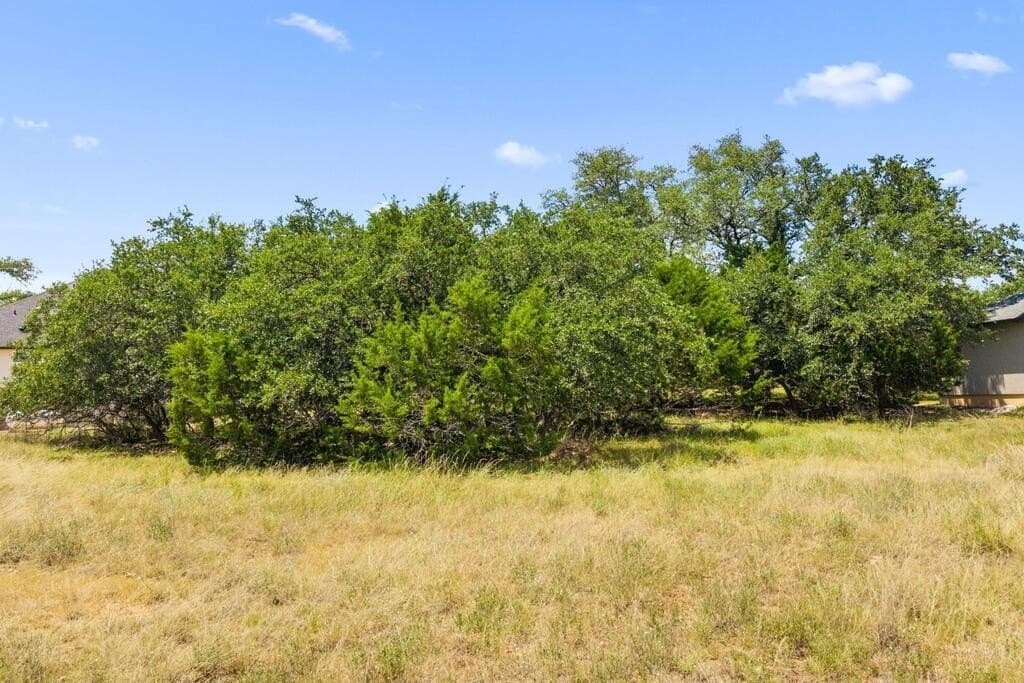 0.23 acres in Blanco County - photo 11