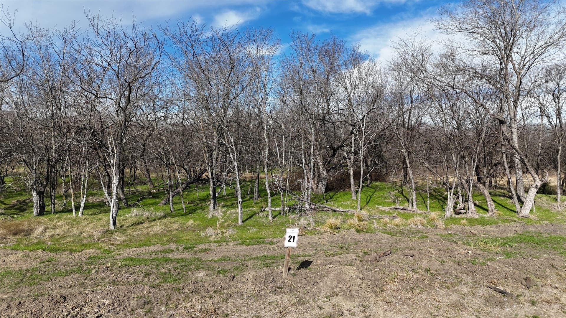 2.36 acres in Navarro County - photo 12