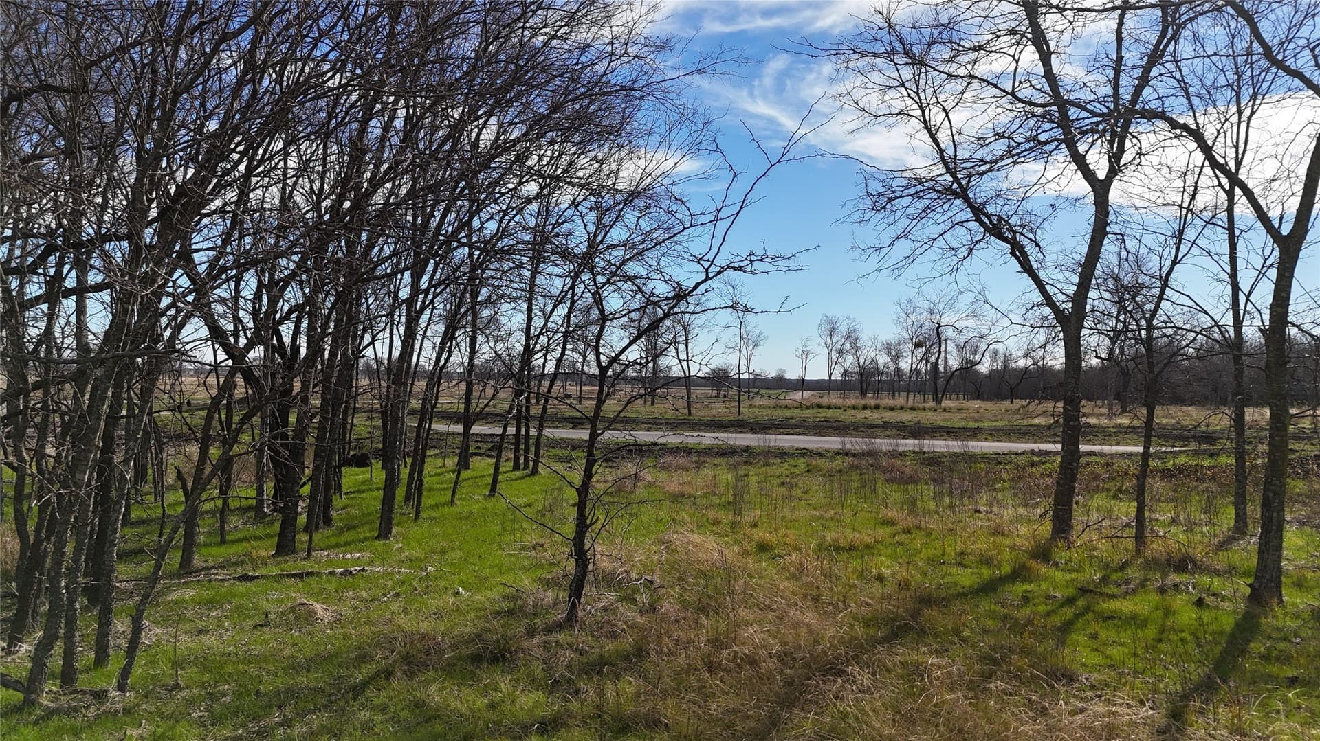 2.36 acres in Navarro County - photo 23