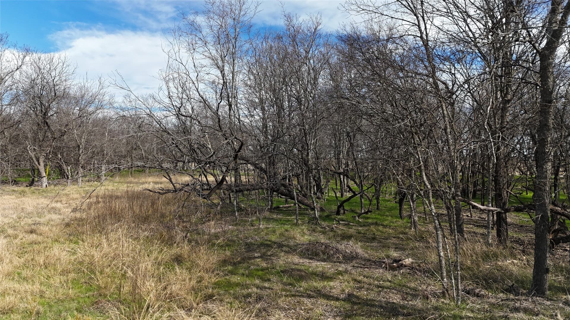 2.36 acres in Navarro County - photo 21