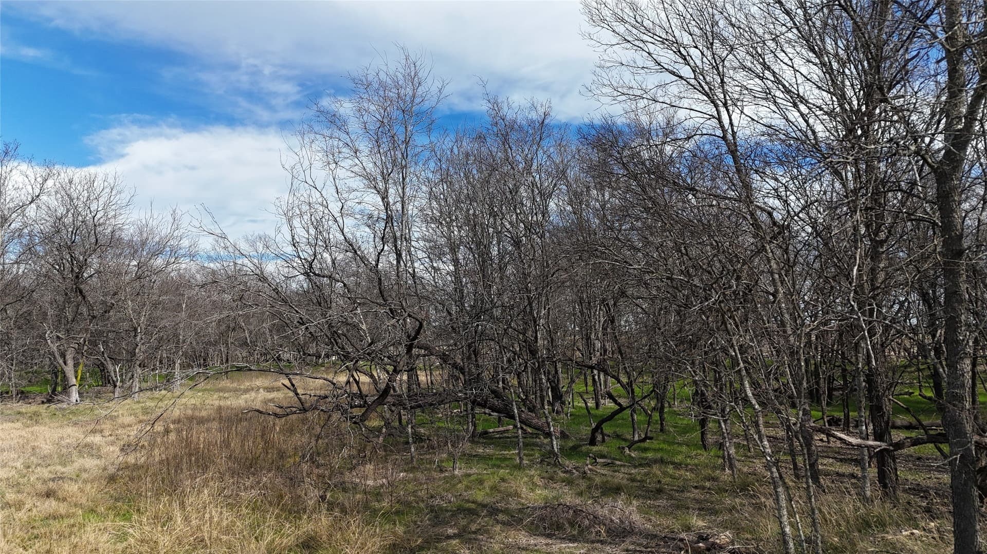 2.36 acres in Navarro County - photo 19