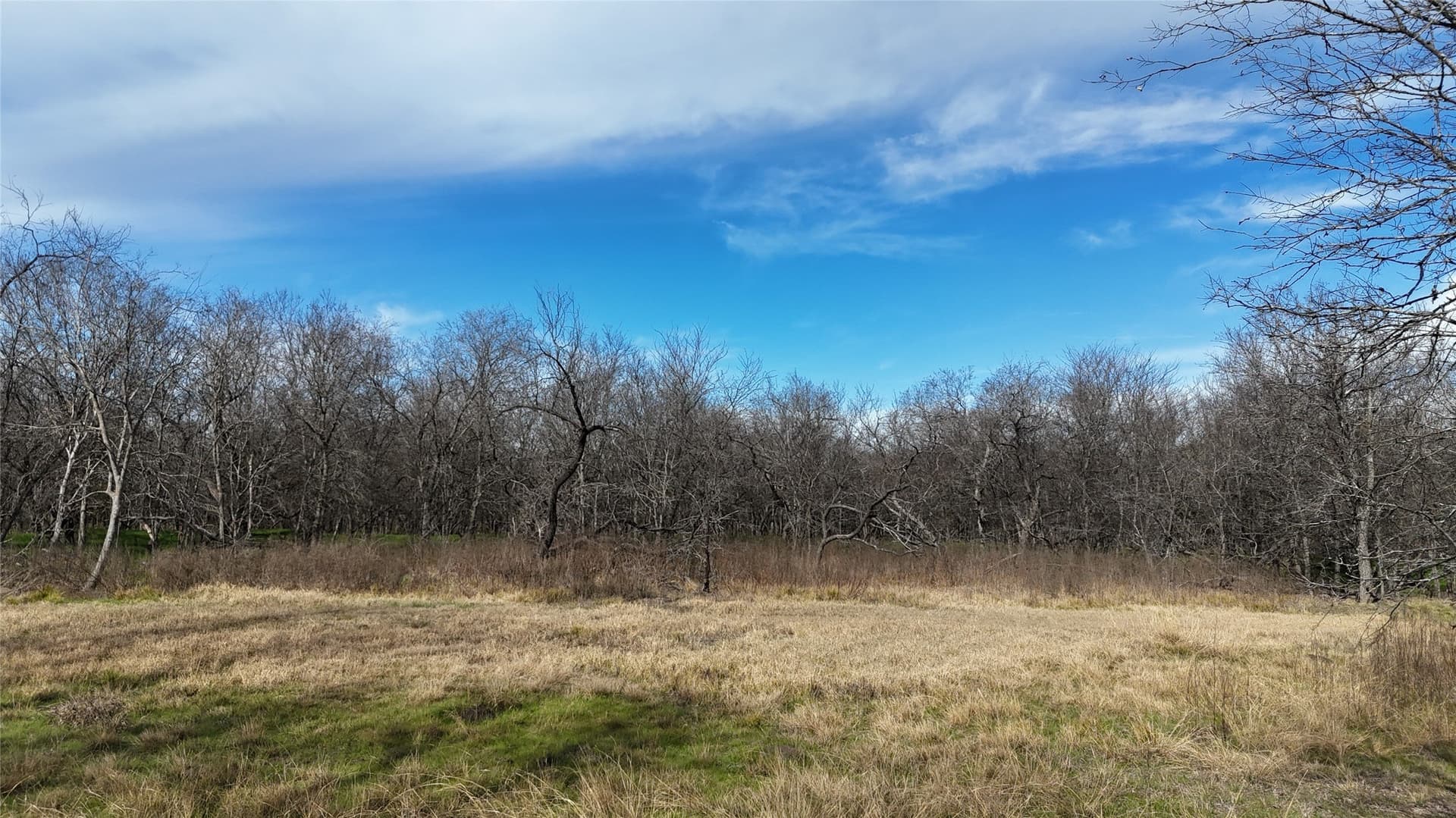 2.36 acres in Navarro County - photo 10