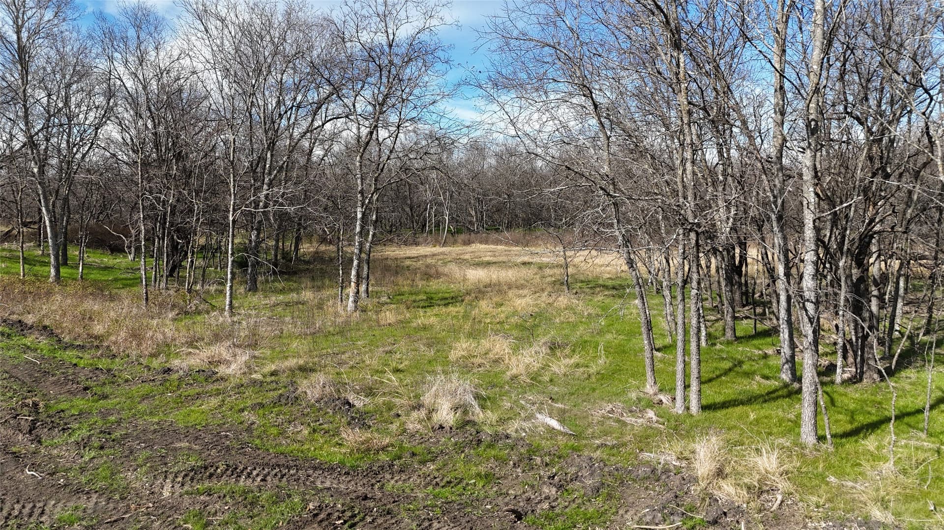 2.36 acres in Navarro County - photo 22