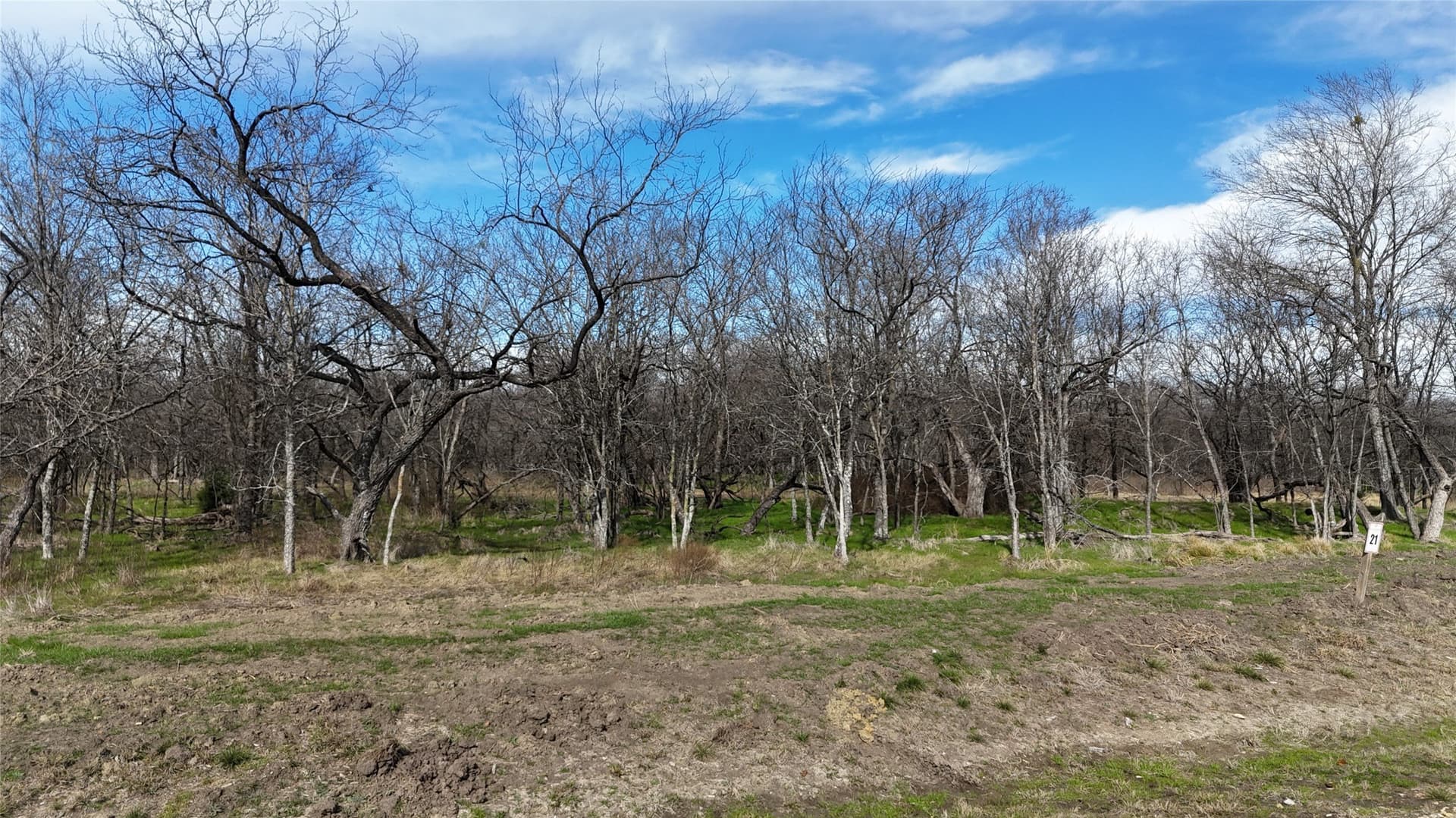 2.36 acres in Navarro County - photo 15