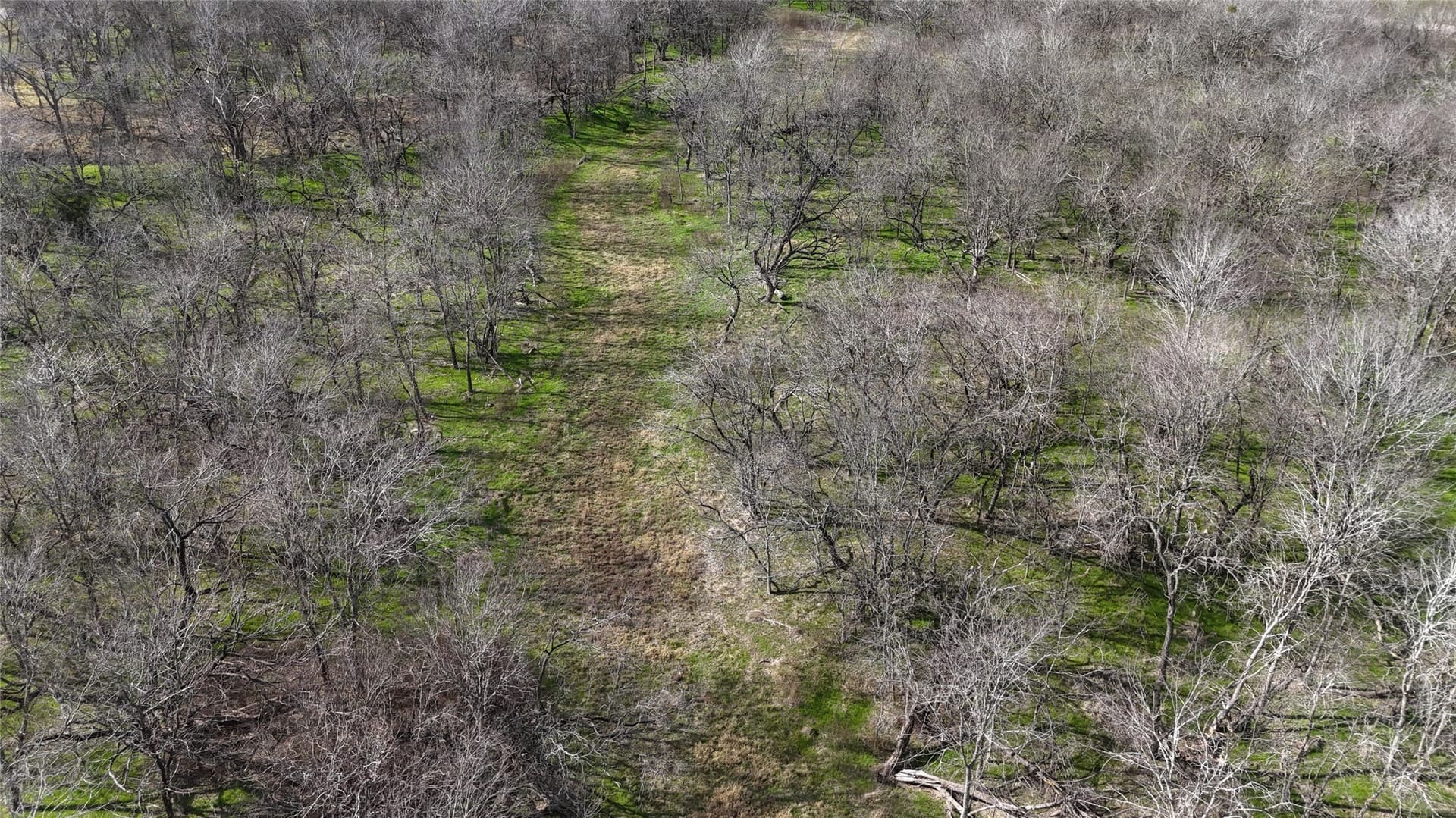 2.36 acres in Navarro County - photo 31