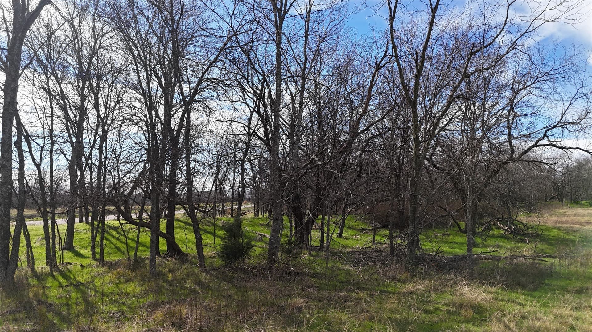 2.36 acres in Navarro County - photo 17