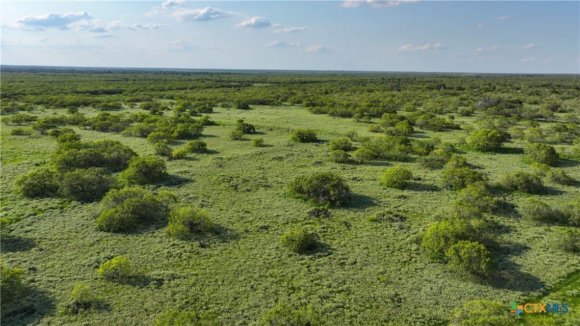 27 acres in Atascosa County featured view