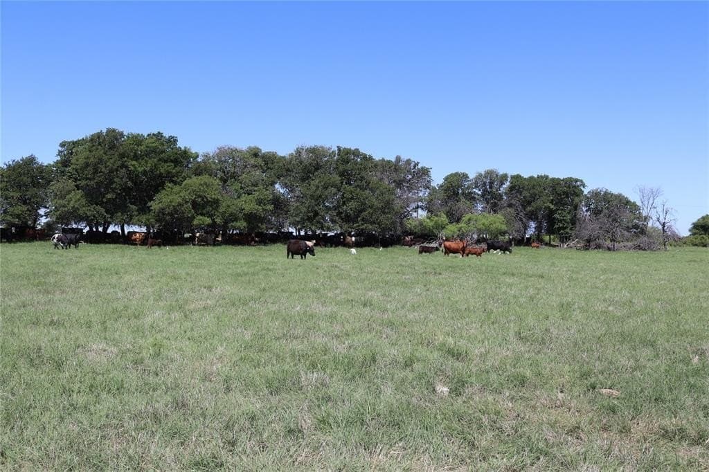 80 acres in Clay County gallery image 2