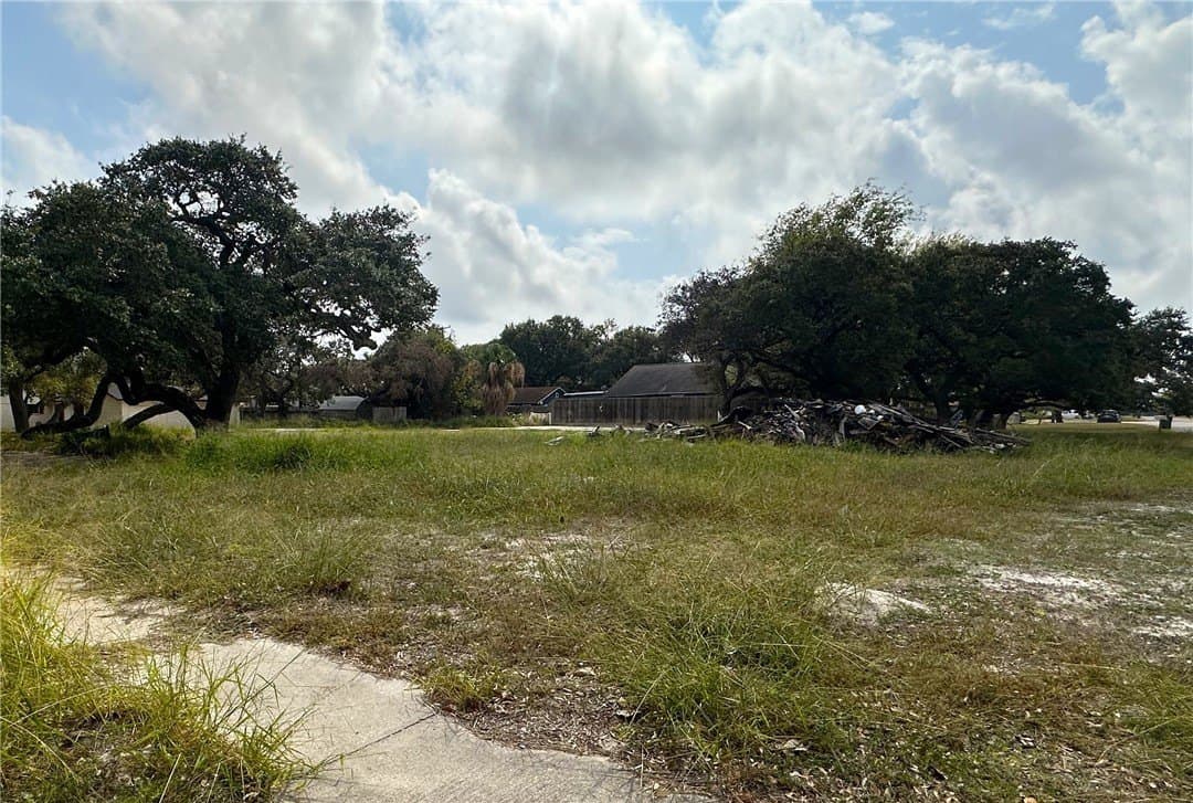 0.4 acres in San Patricio County gallery image 2