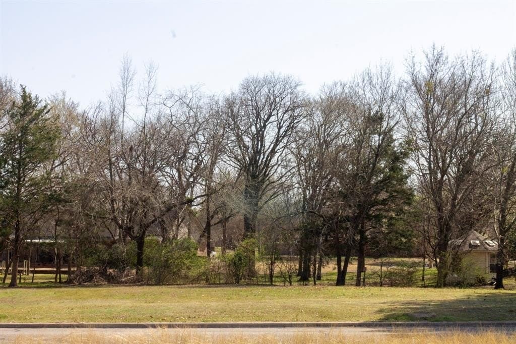 0.38 acres in Fannin County featured view