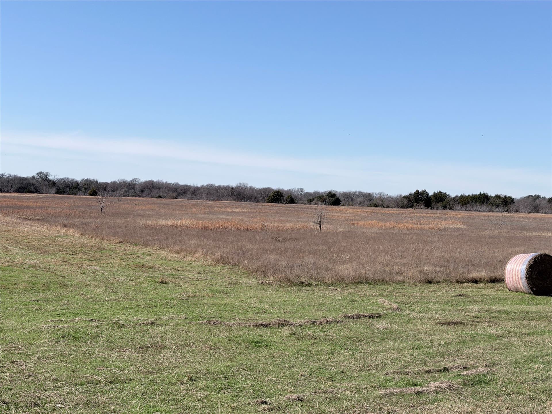 40.13 acres in Navarro County gallery image 4