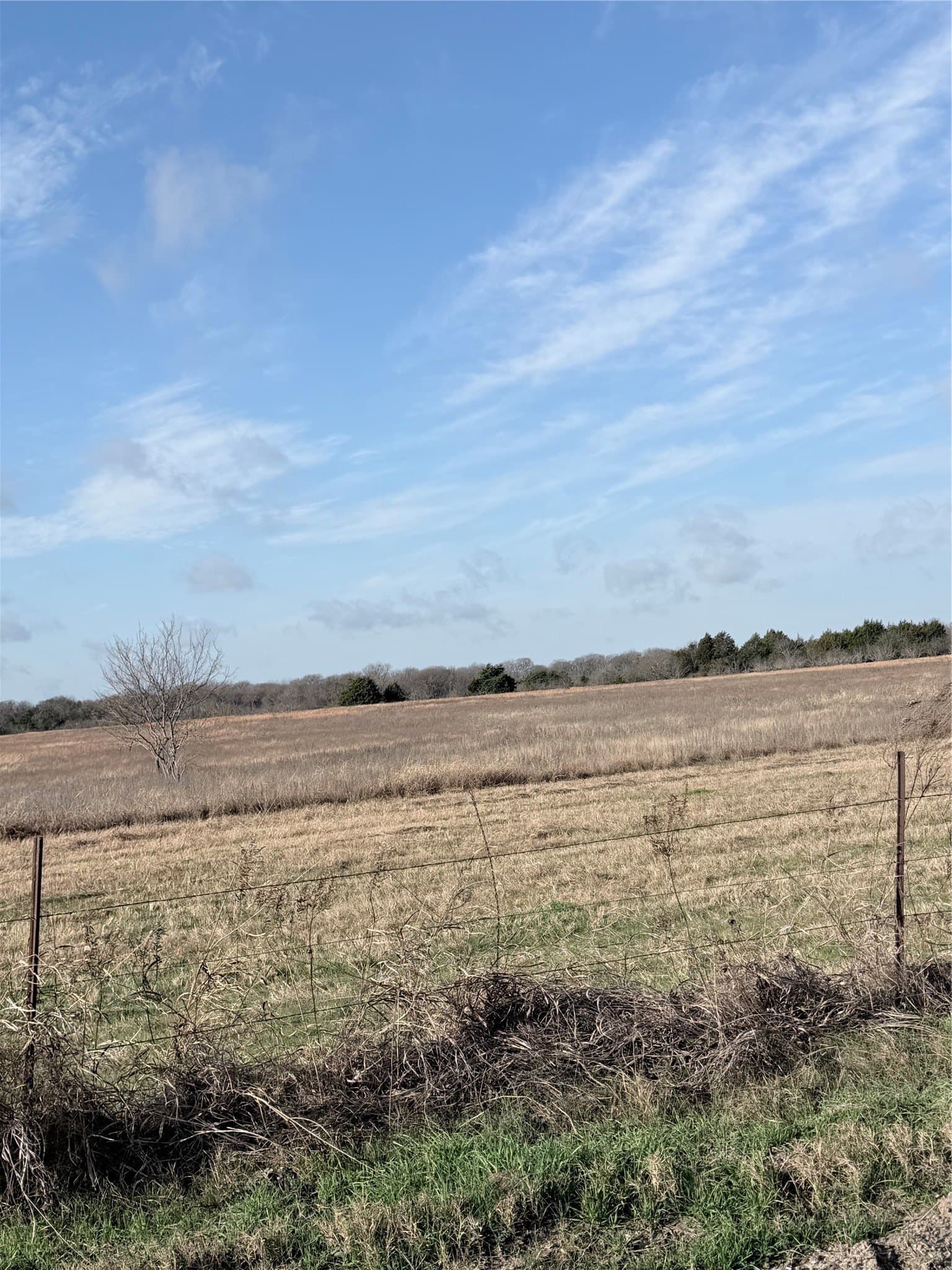40.13 acres in Navarro County gallery image 2