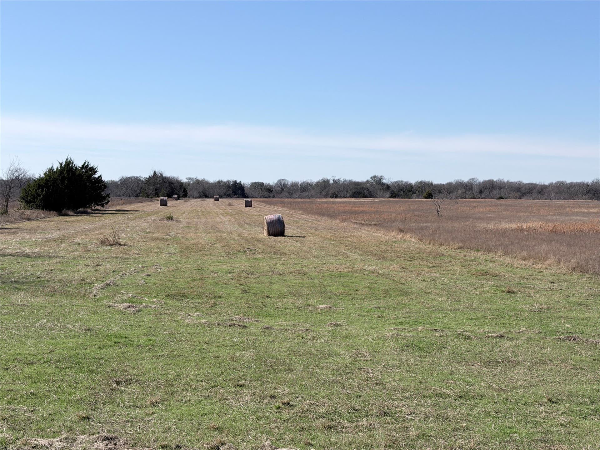40.13 acres in Navarro County featured view