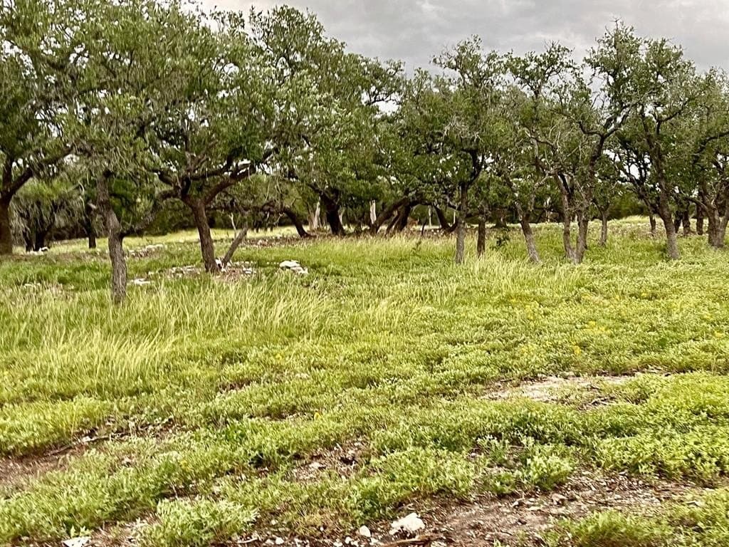 10.02 acres in Gillespie County featured view