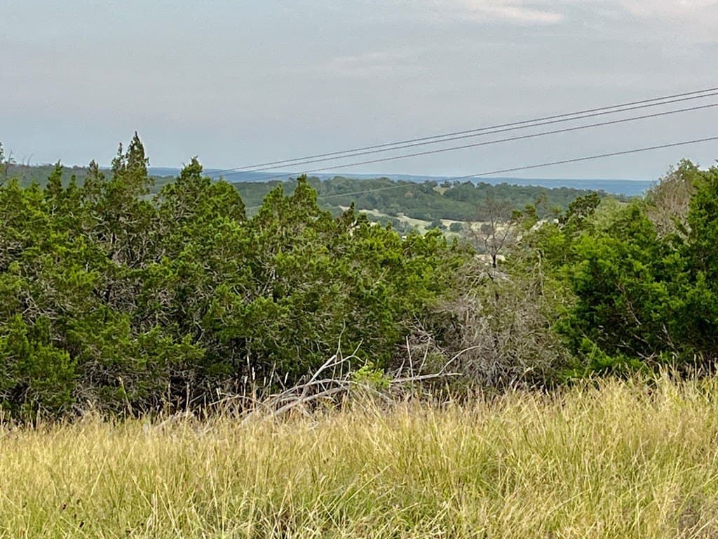 10.02 acres in Gillespie County gallery image 4