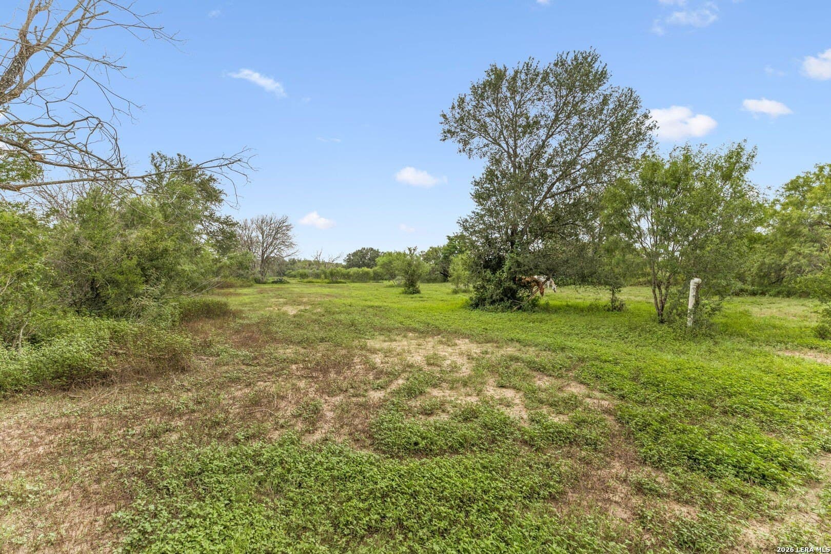 17.43 acres in Bexar County - photo 9