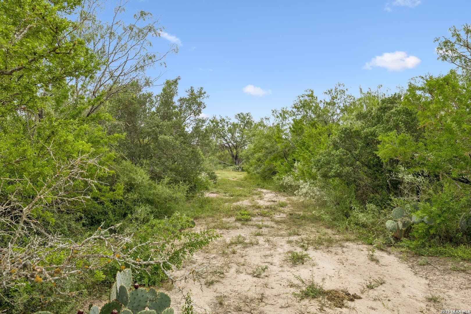17.43 acres in Bexar County - photo 15