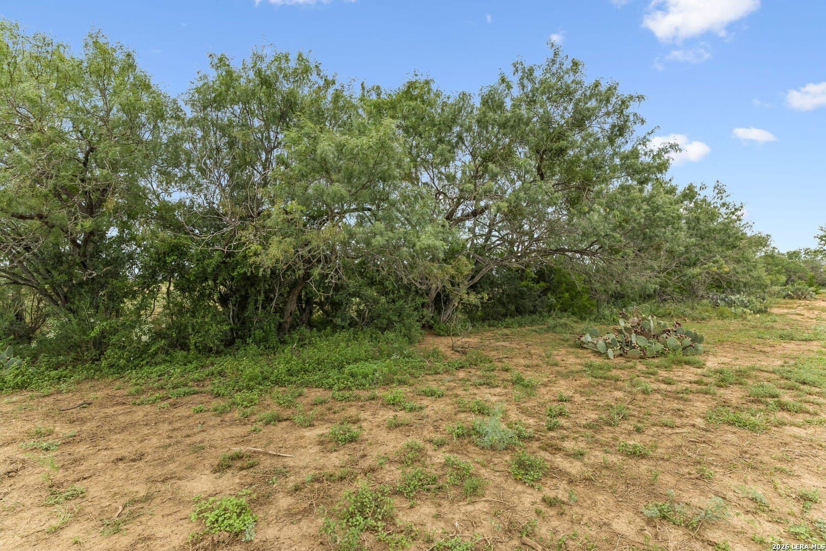 17.43 acres in Bexar County gallery image 3